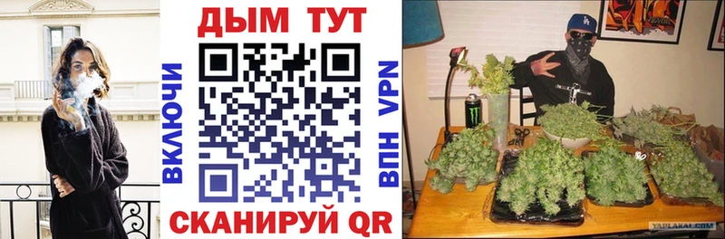 Где купить Кировск АМФ Гашиш Псилоцибиновые грибы СОЛЬ КОКАИН