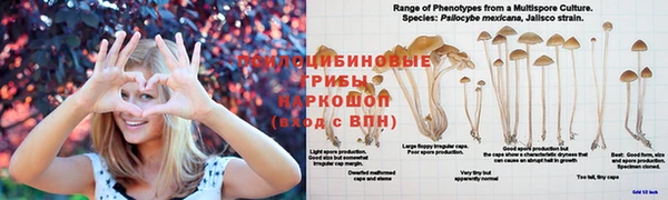 кристаллы Арсеньев