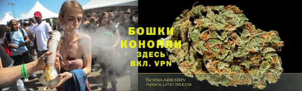 дмт Аркадак