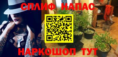 мяу мяу мука Малоярославец